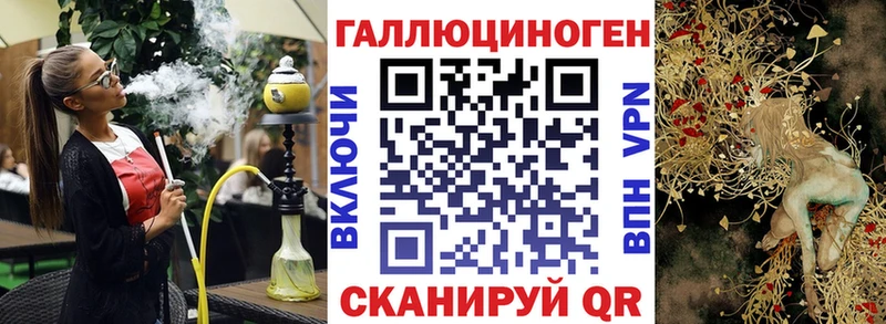 Галлюциногенные грибы Psilocybine cubensis Билибино